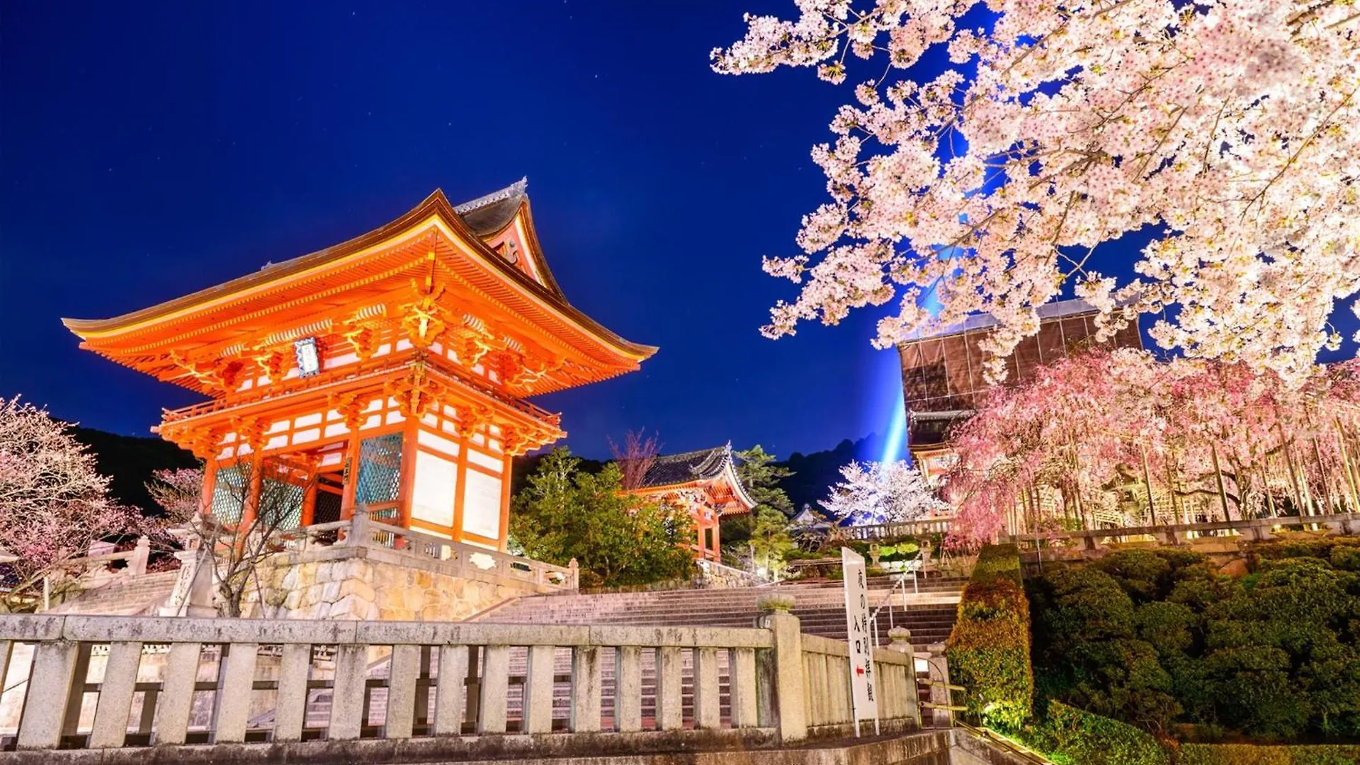 Osaka - Hotel / Vacation Stay 65254